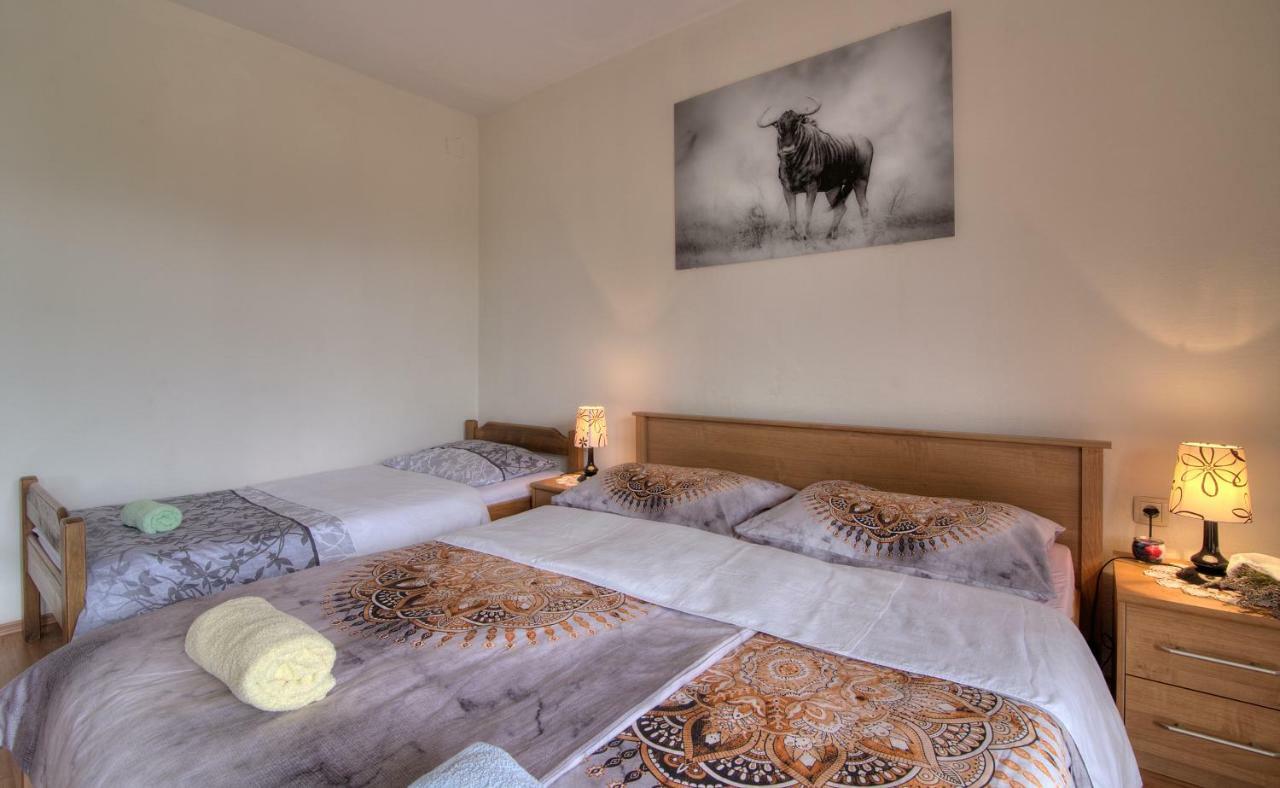 Apartment Marijanka Senj  Buitenkant foto